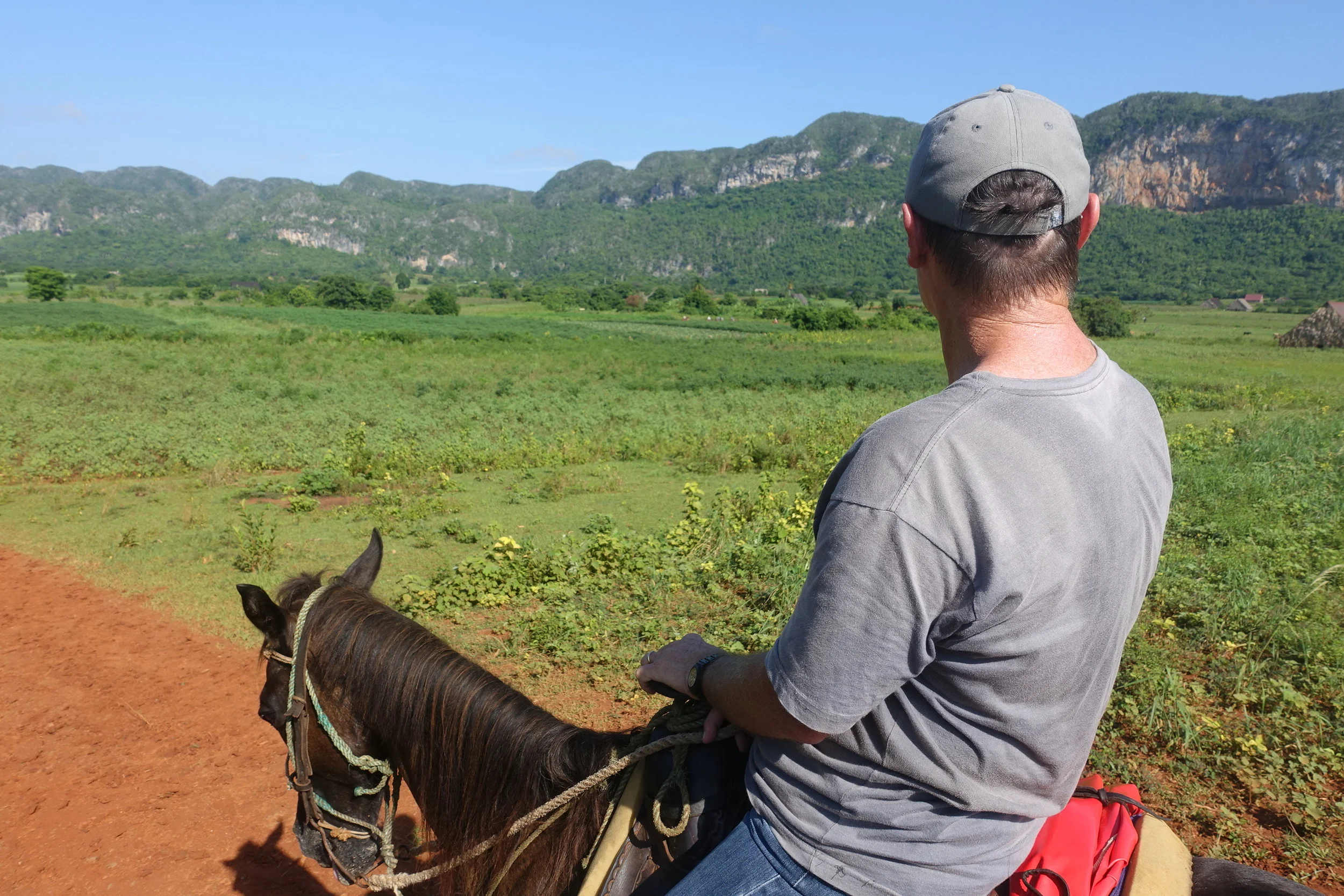 horse riding in vinales organised through our casa