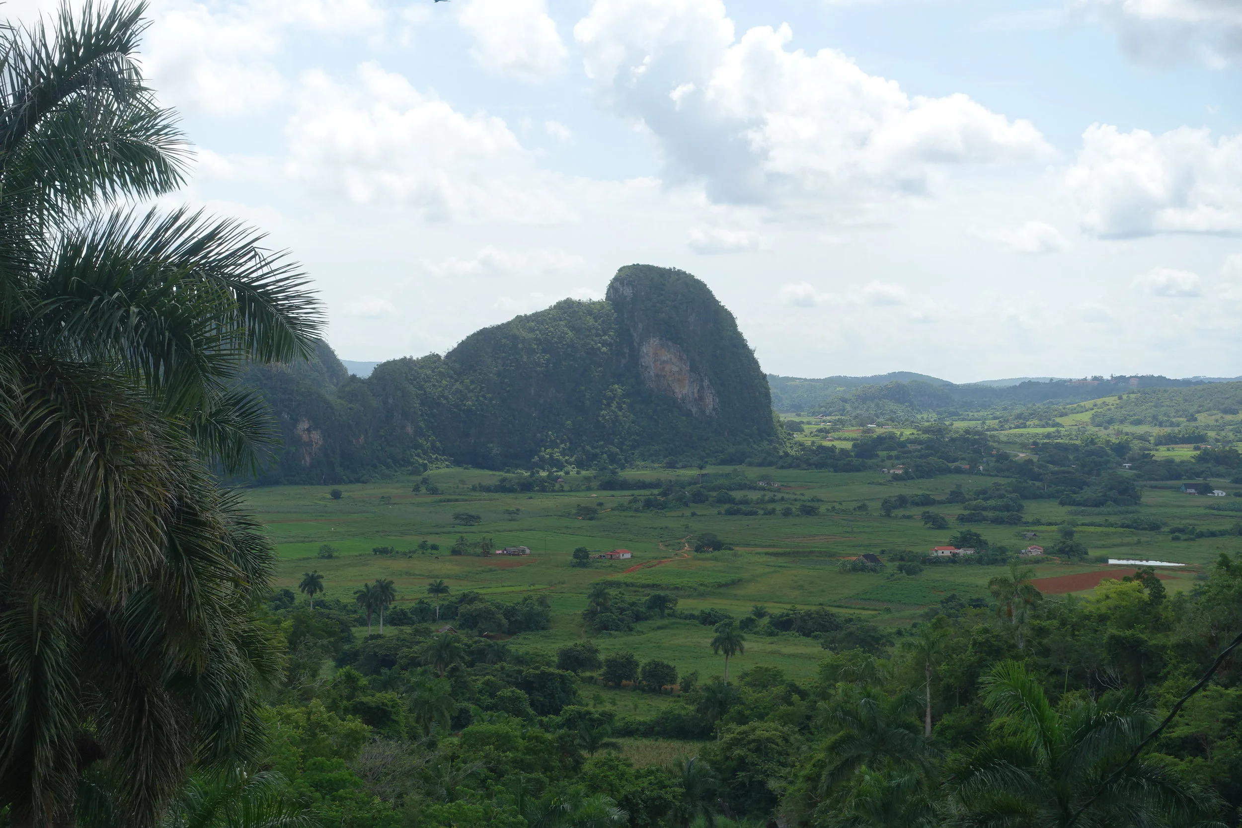 view from the settlement of los aquaticos