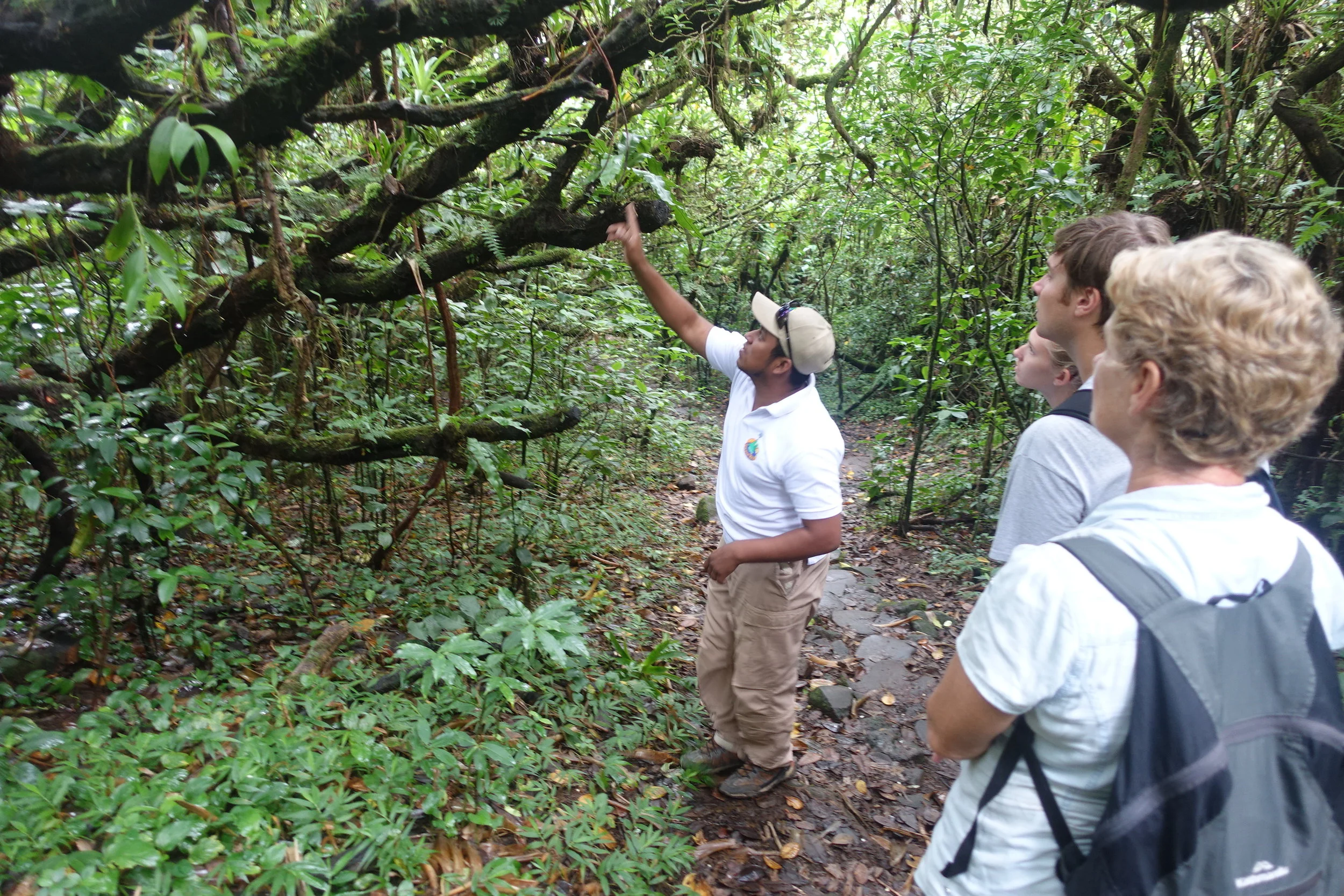 carlos explaining about the forest plants to Laura, Mat and Cally