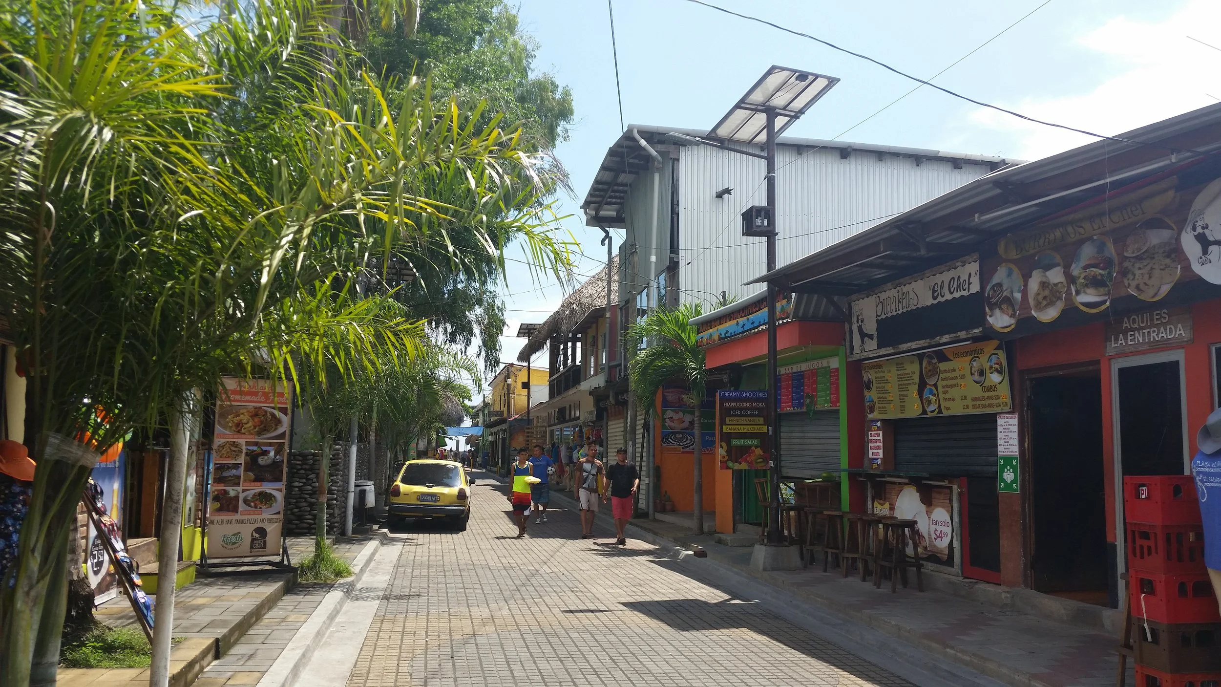 el tunco