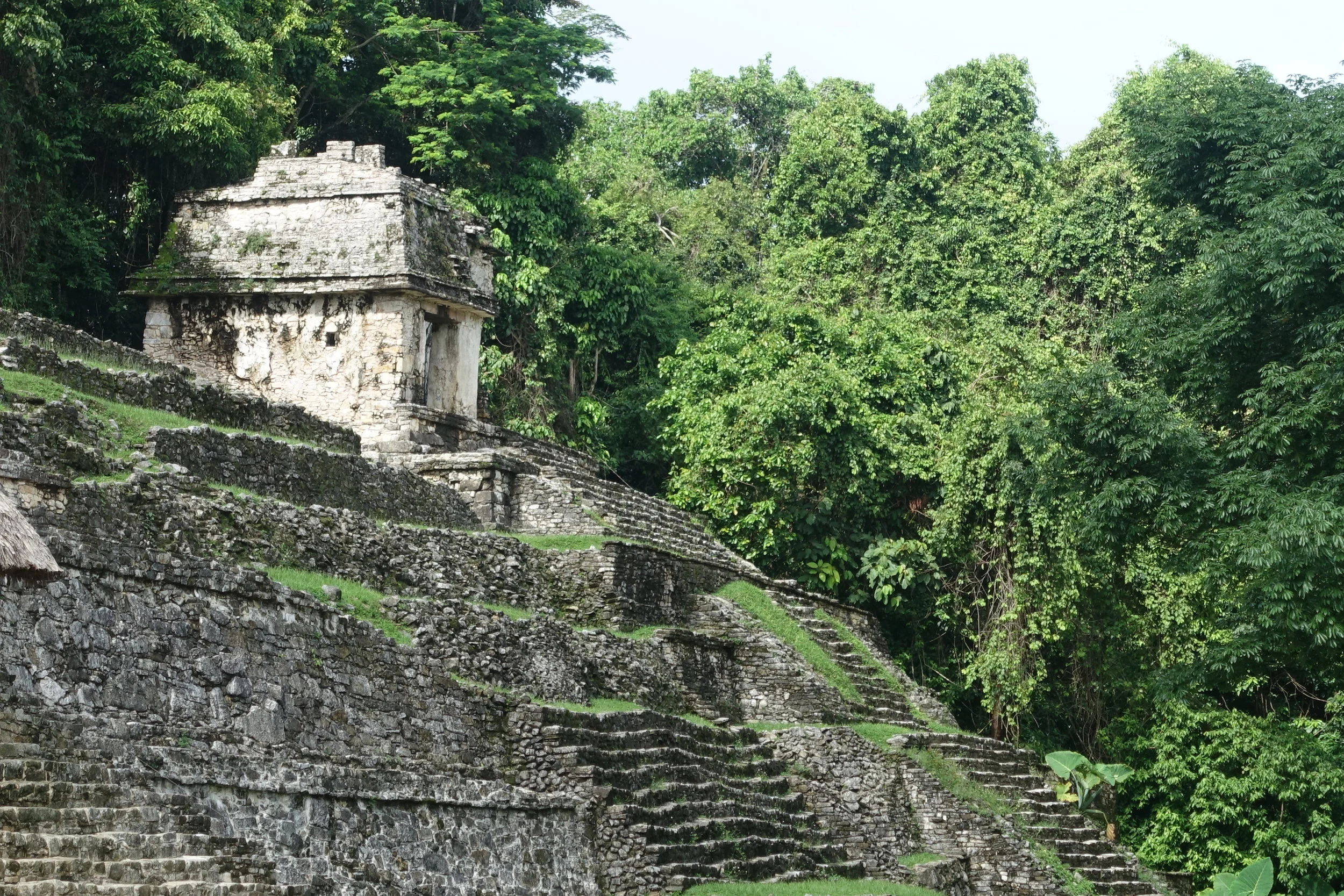 part of the temple of the inscriptions, palenque