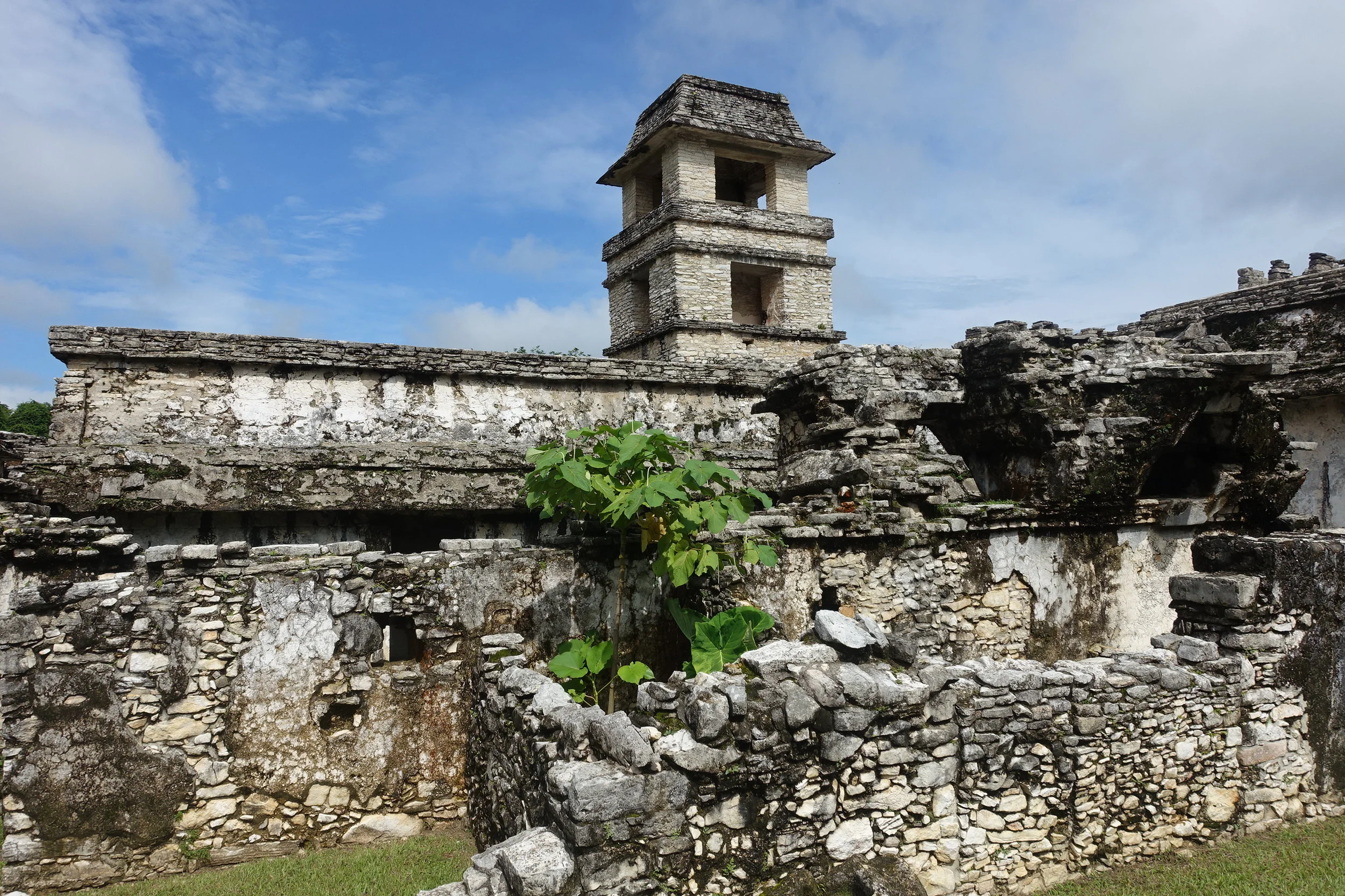 el palacio (the palace)
