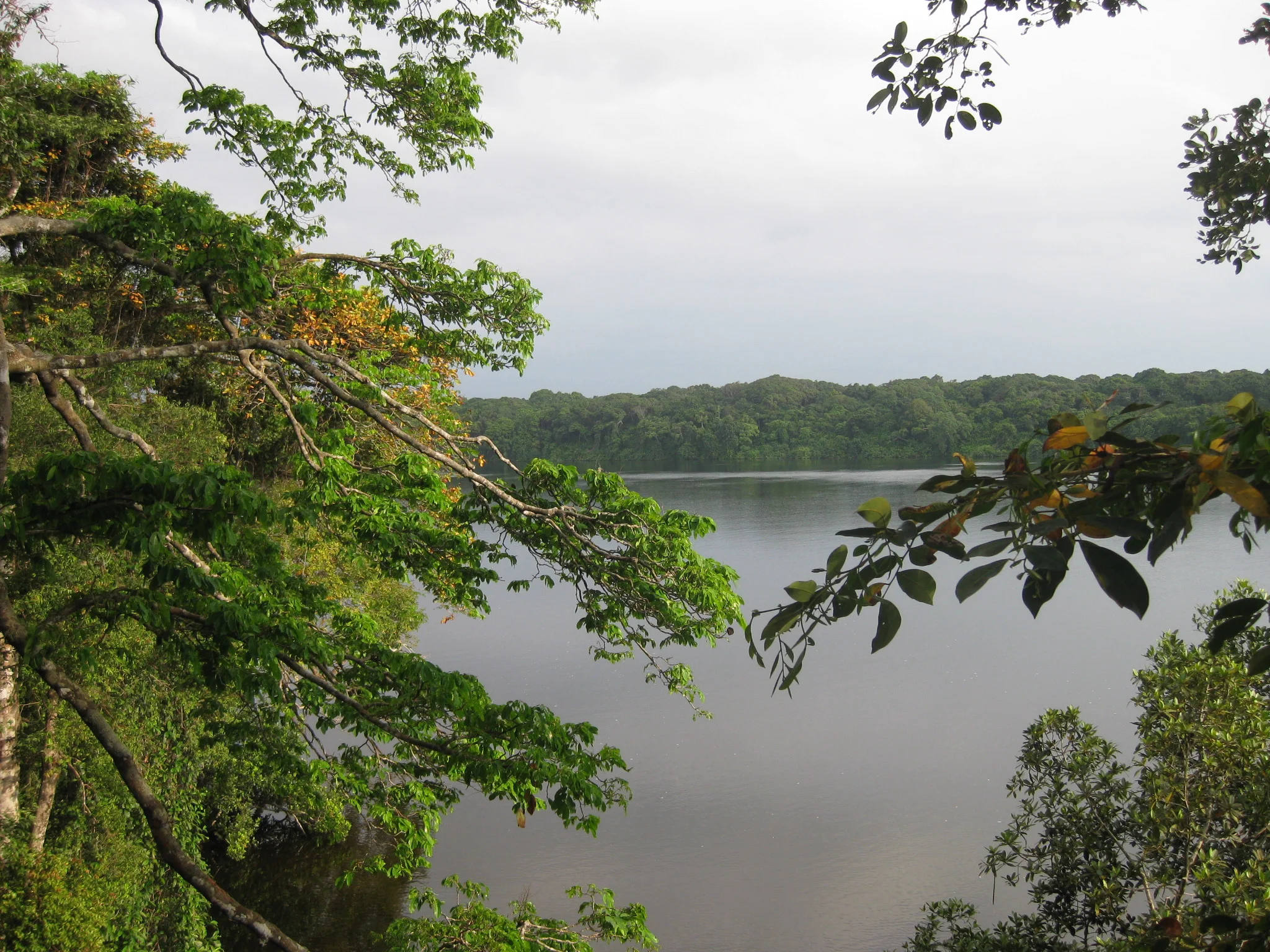 ndogo lagoon - loango national park