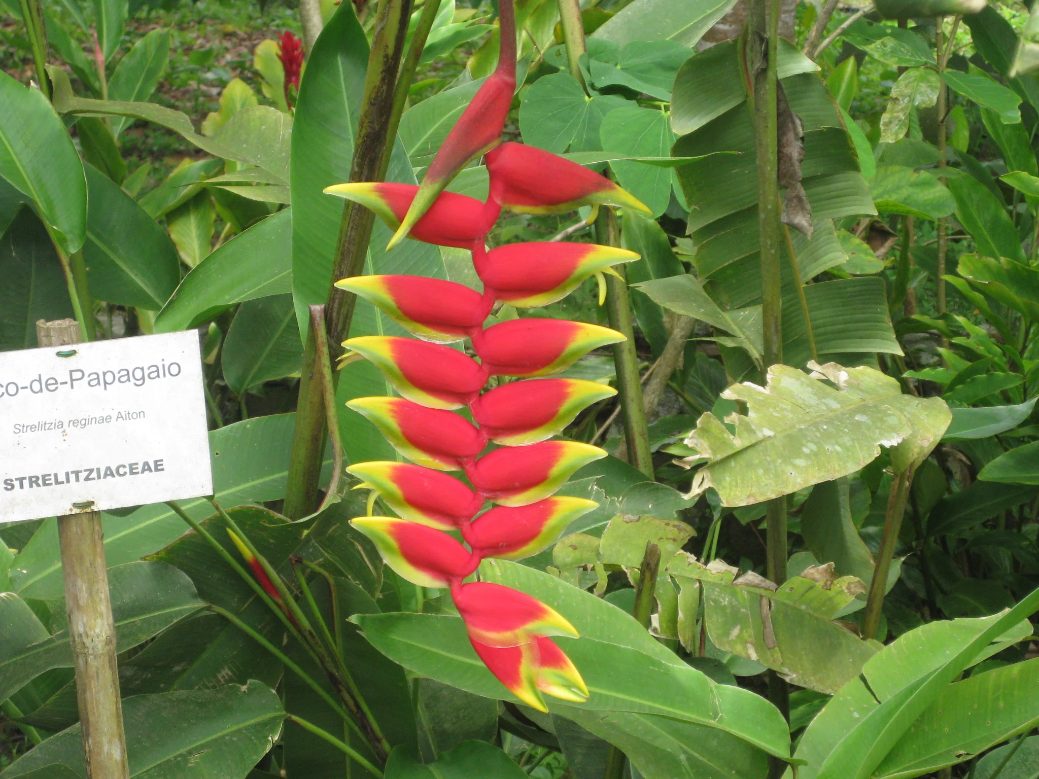 sao tome botanical gardens