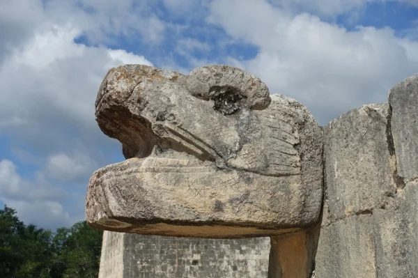 snakes head - temple of the jaguars
