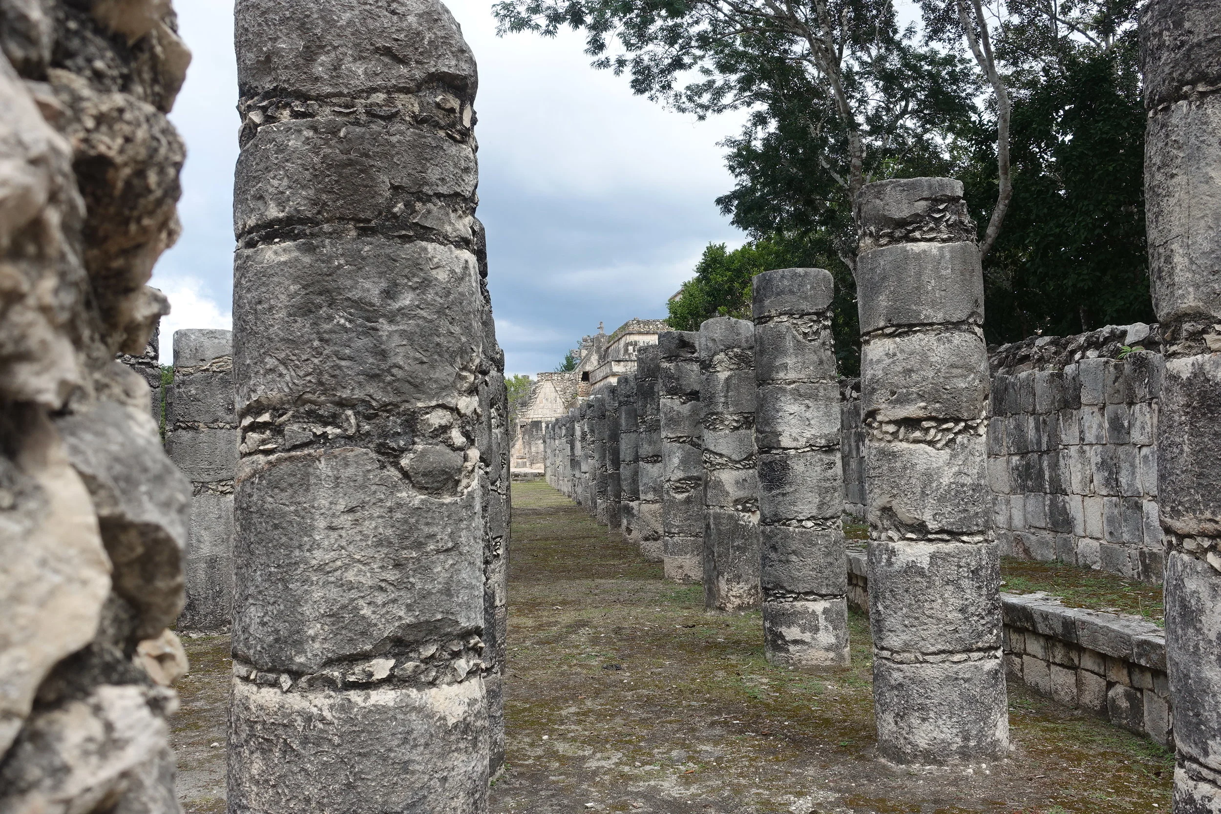 group of a thousand columns
