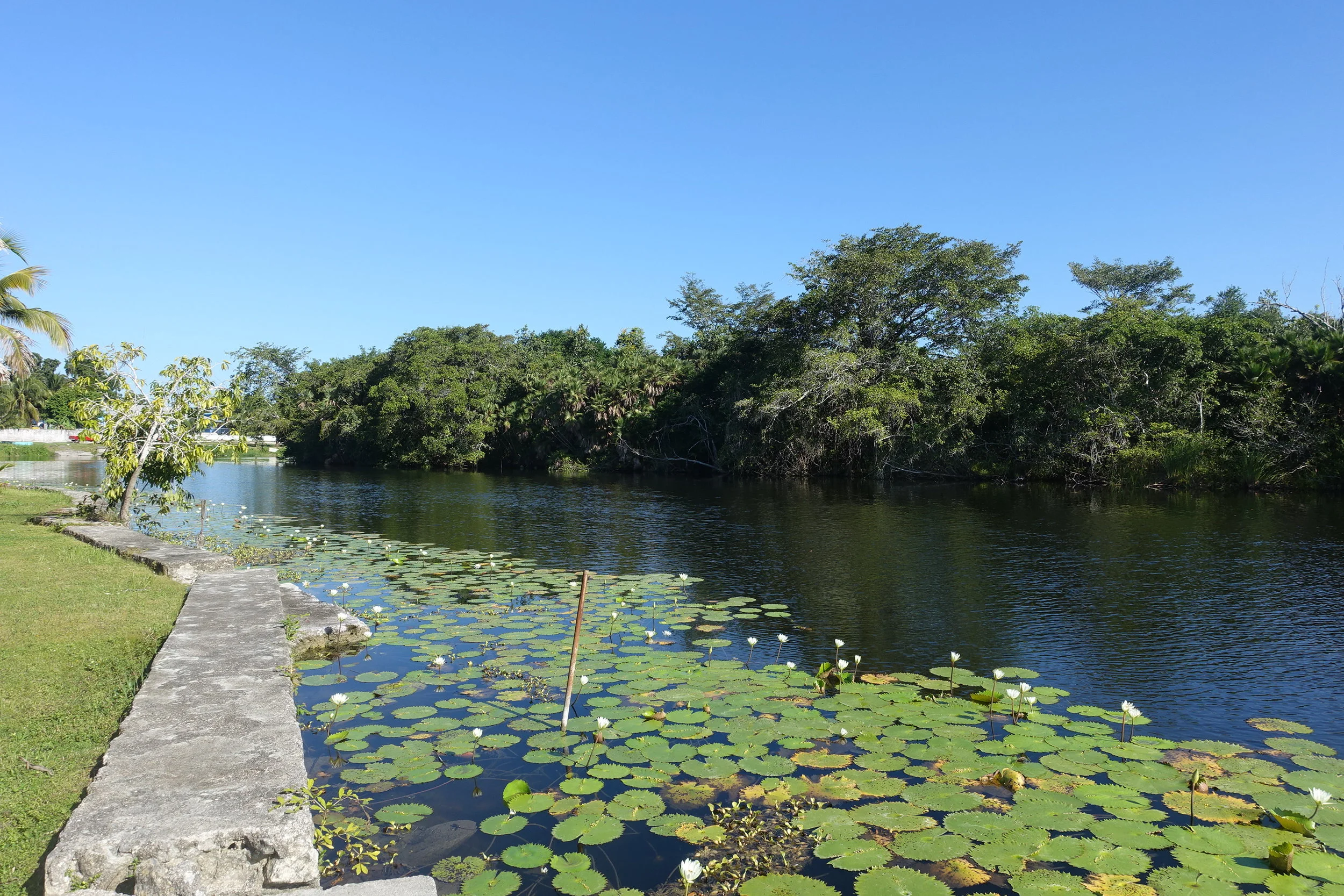 the new river at lamanai riverside retreat