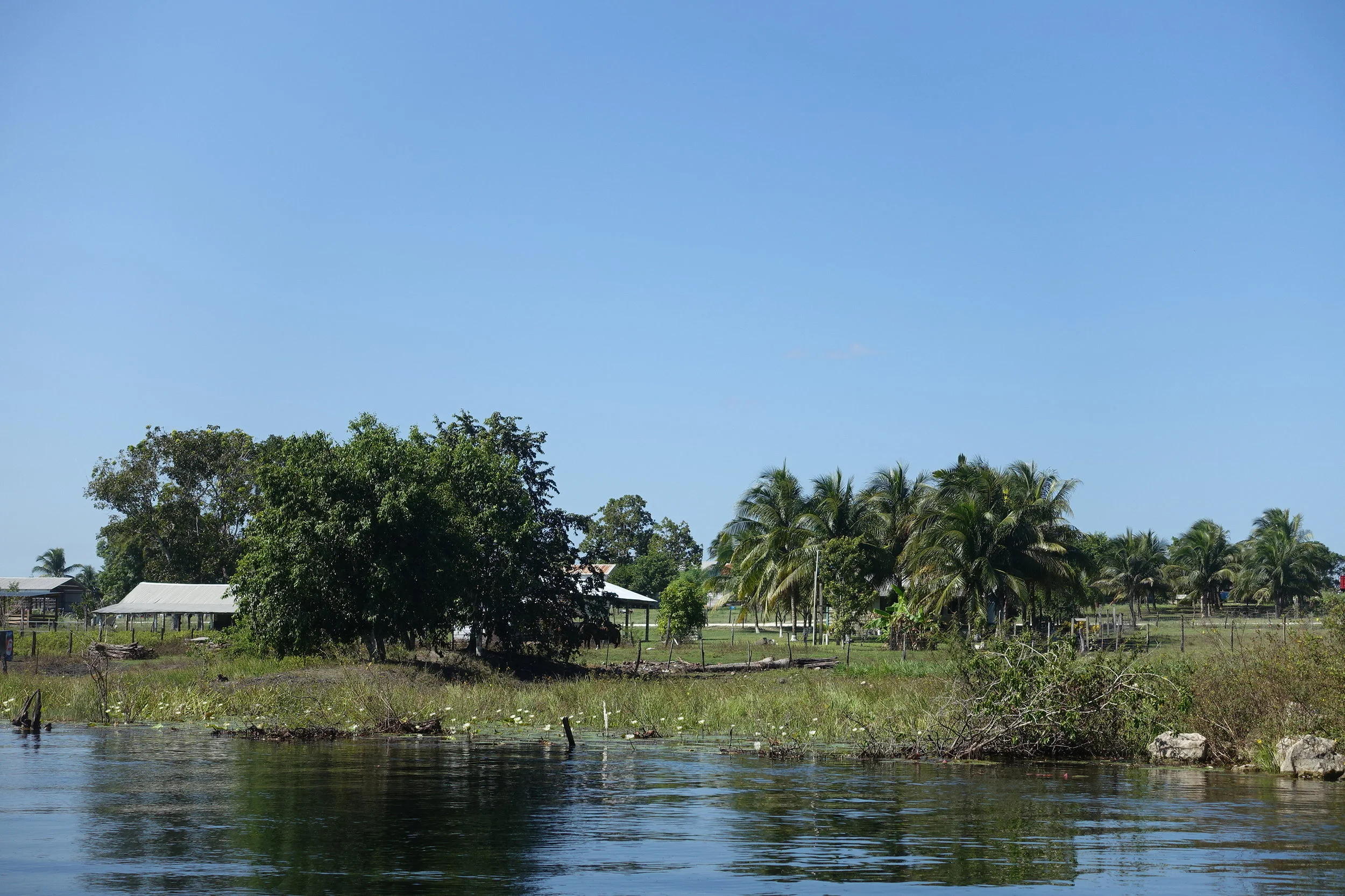 mennonite settlement in the belizean jungle