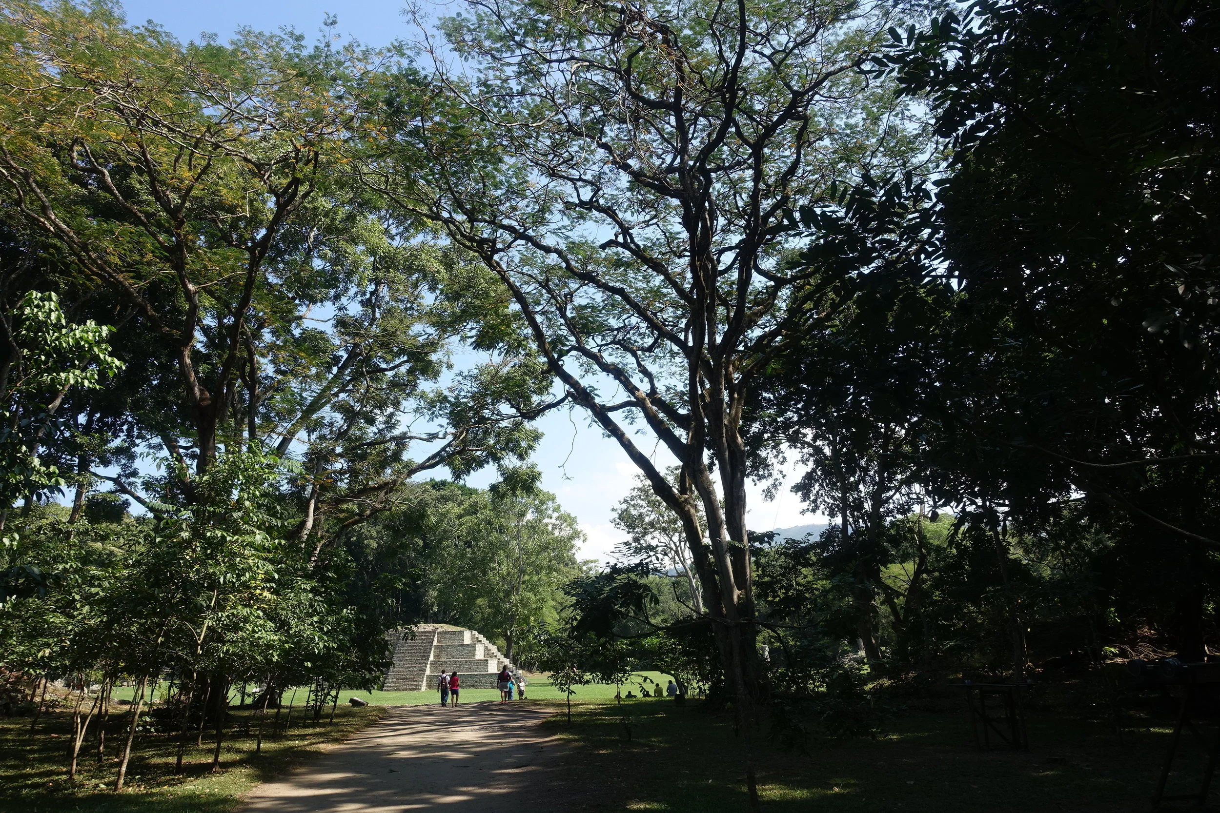 path leading to the great plaza