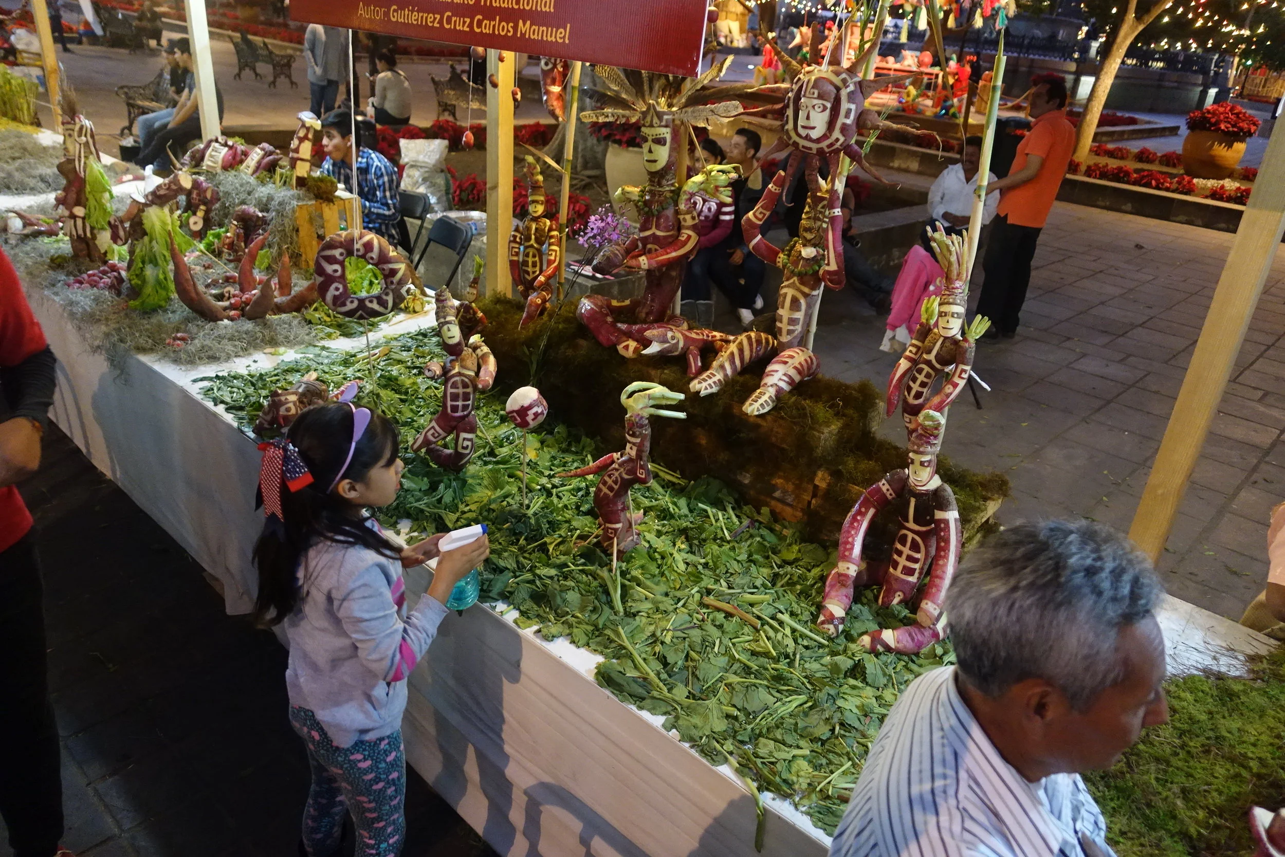 the radishes are regularly sprayed with water to keep them looking fresh
