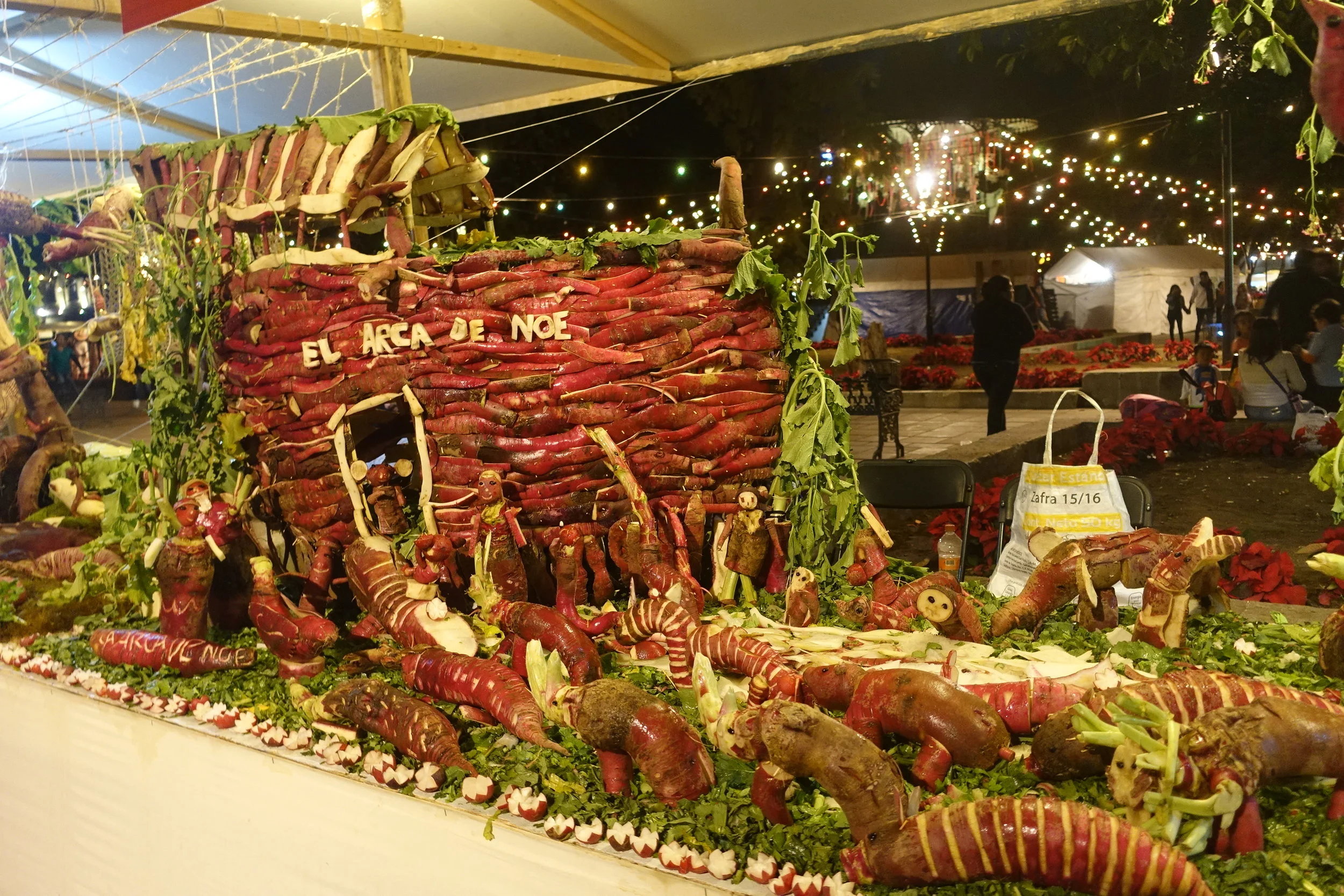 noah's ark