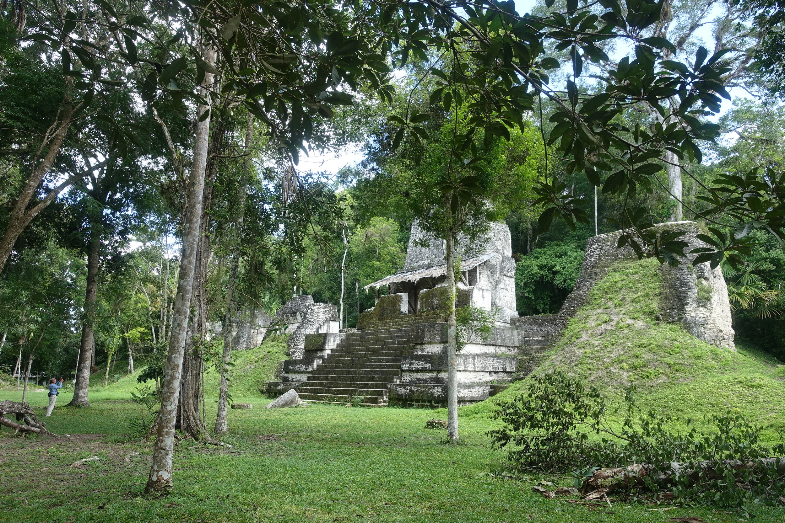 exploring tikal