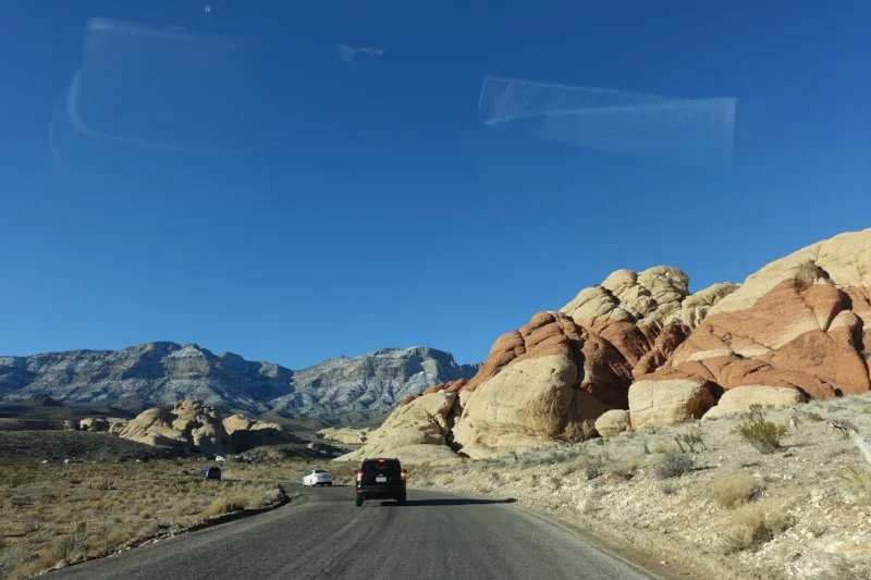 we had plenty of company on the red rock canyon scenic drive