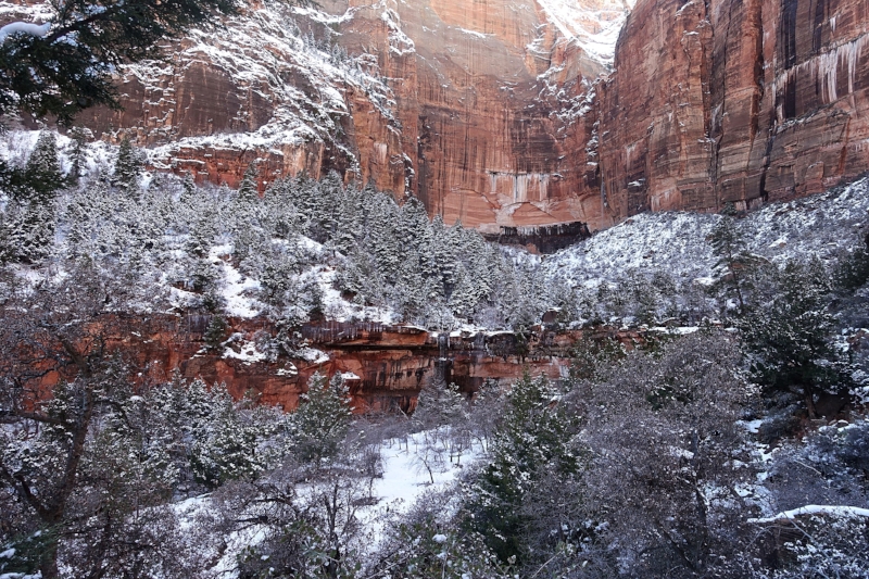zion canyon - kayenta trail