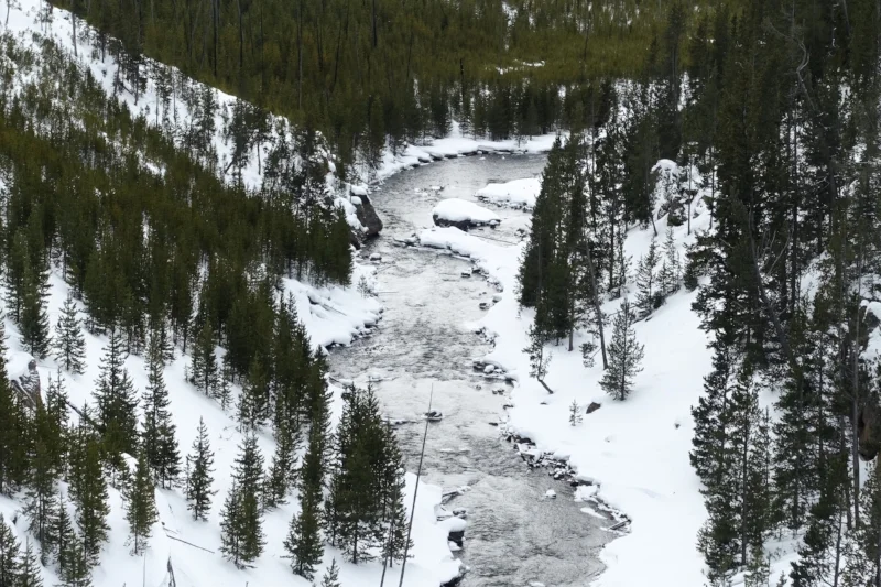 gibbon river