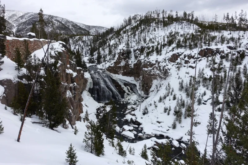 gibbon falls