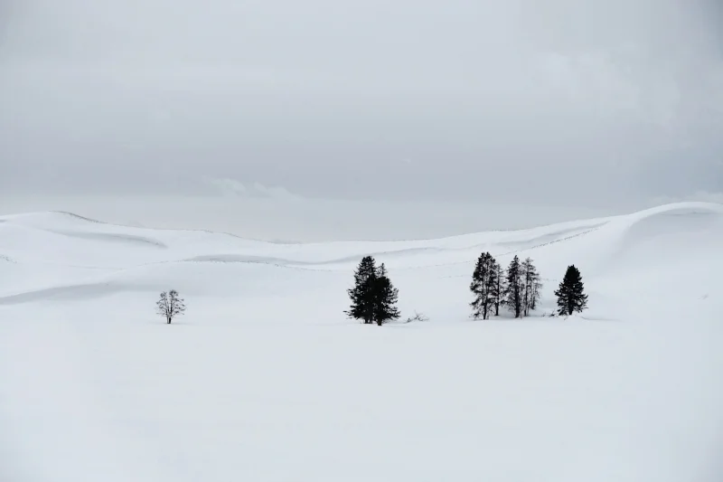 Winter in Yellowstone