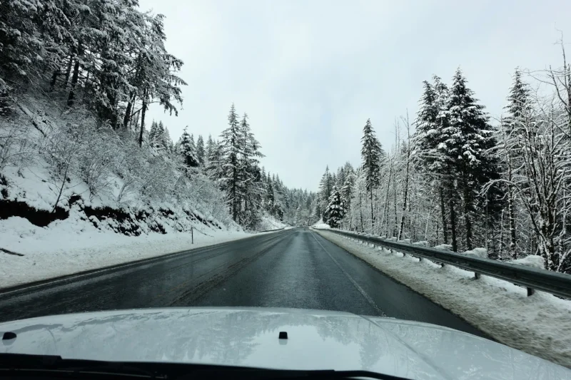 the road from portland to cape meares