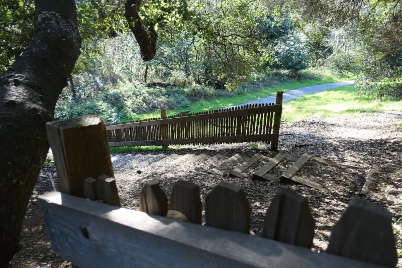 the fence split with a4 metre gap in the 1906 earthquake
