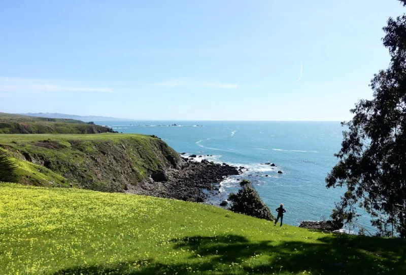 the view of the coast near fort ross