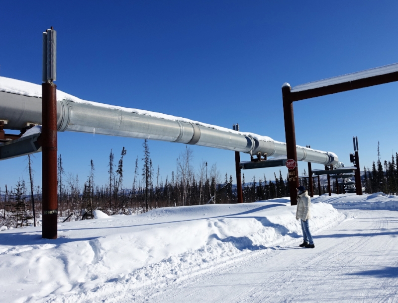 the trans alaska pipeline