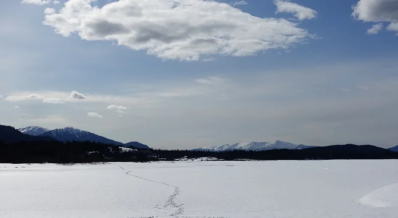 mendenhall lake