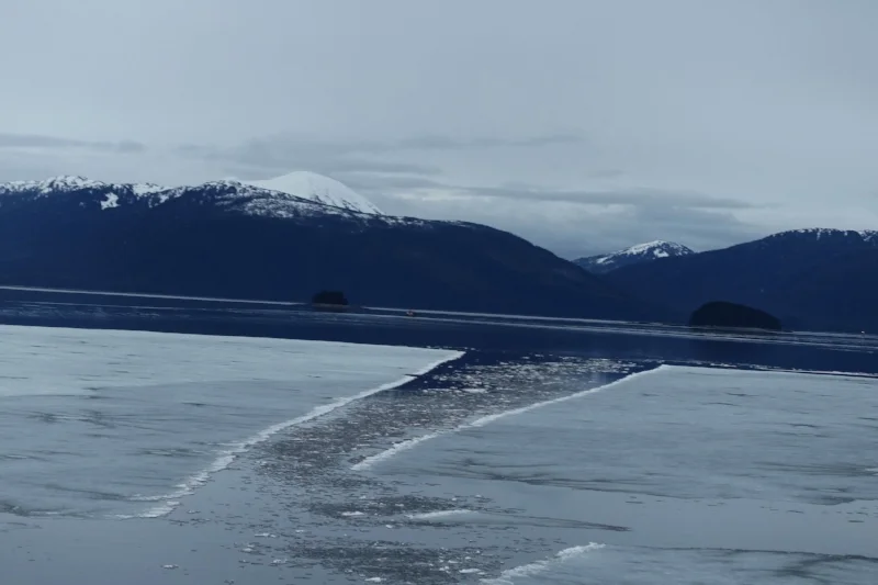 sea ice