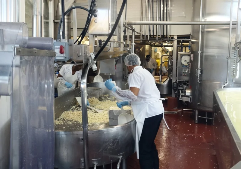 you can see the cheese being made