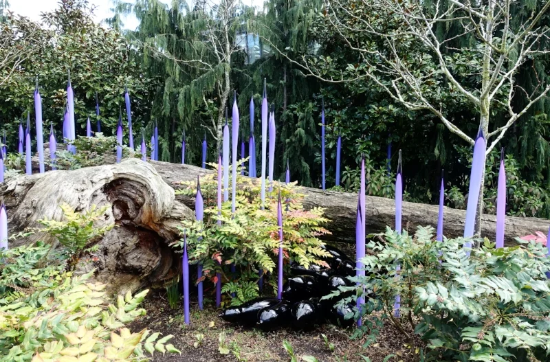 the glass art is displayed inside in galleries as well as in the gardens