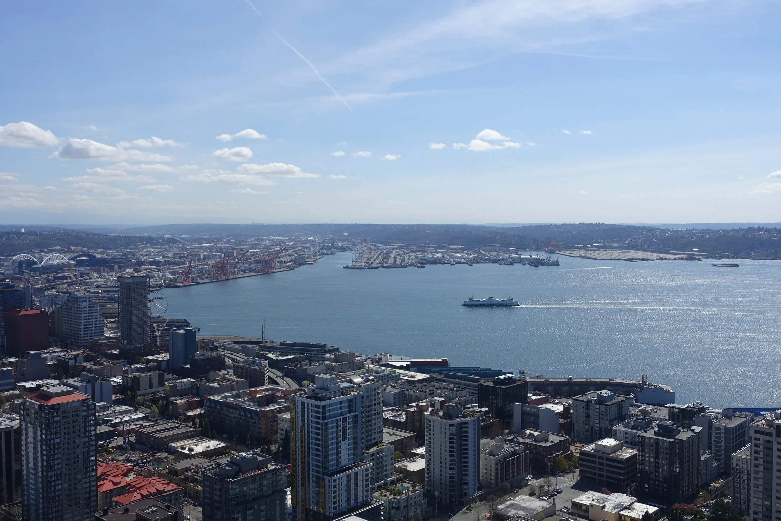 view from the space needle