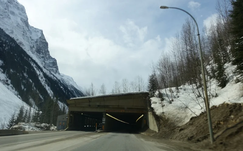 a snowshed
