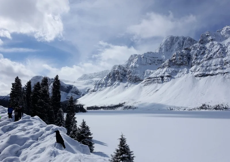 bow lake