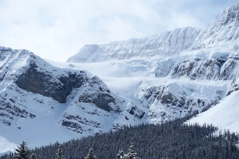 crowfoot glacier