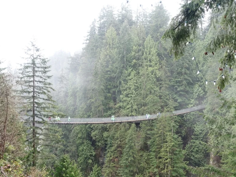 capilano canyon