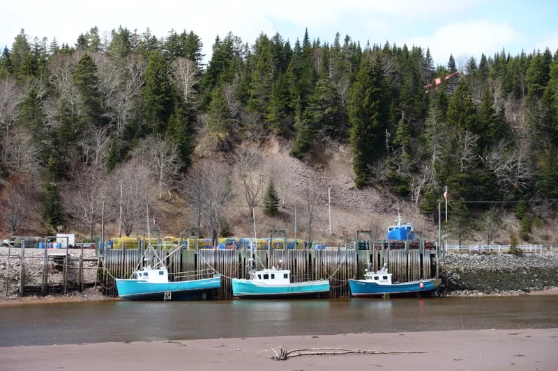 boats on the fundy coast