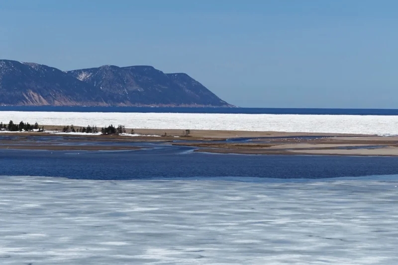 lots of sea ice on the trail