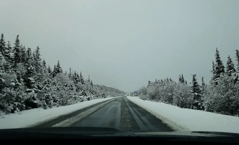 the road to bonavista