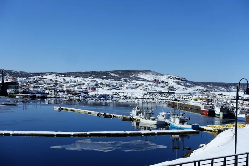 bonavista harbour