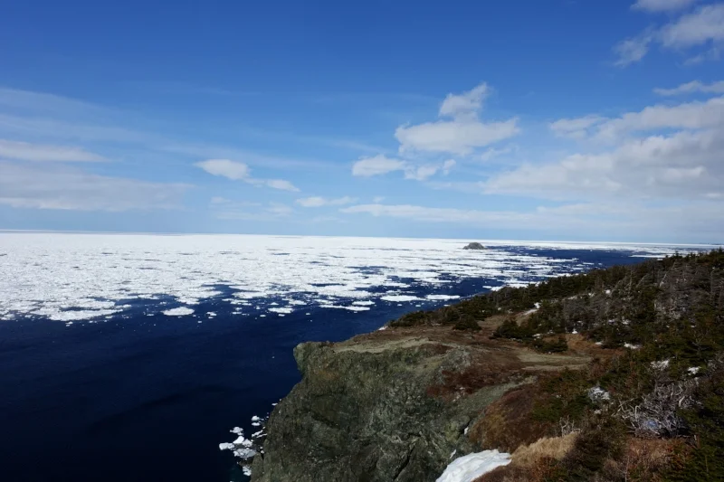 cliff top views near twillingate lighthouse
