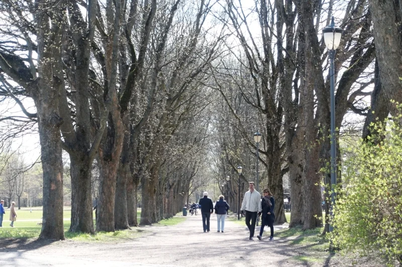 a quiet corner of vigeland sculpture park