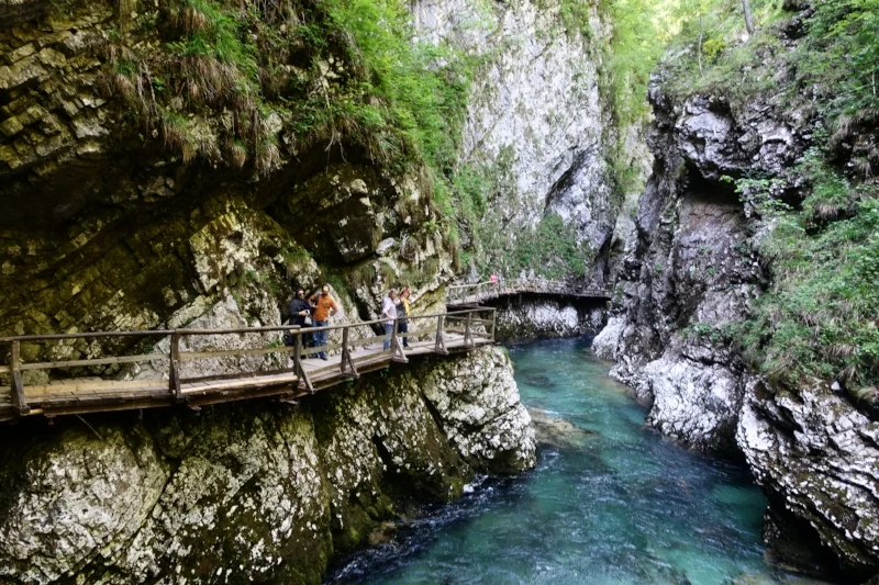 the walkway through vintar gorge