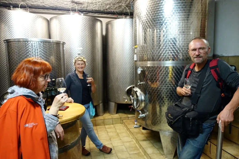 sampling the zelen