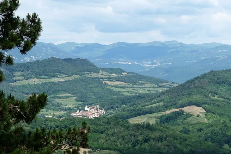view from the terrace
