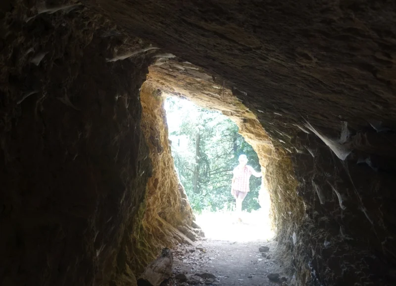 tanaccia shrine