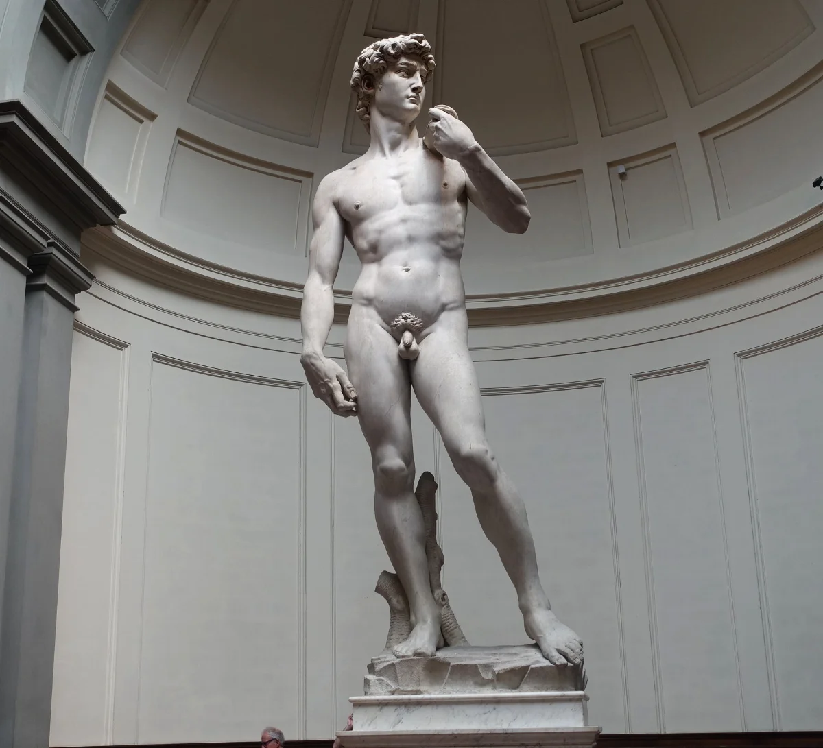 Michelangelo's David