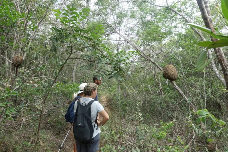 on The walk to Barro branco