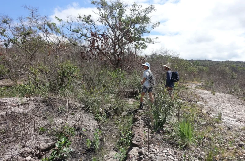cally and Emiliano inspect signs of old mining activity