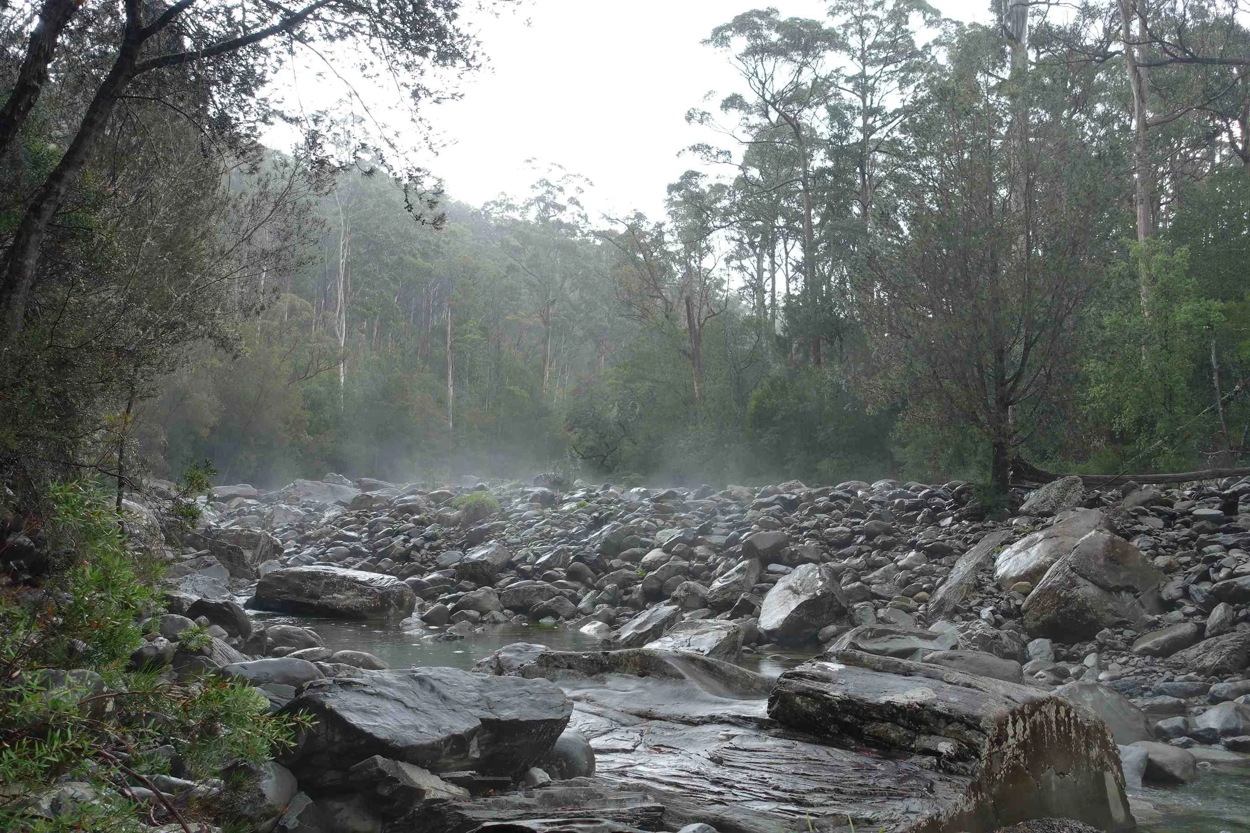douglas river