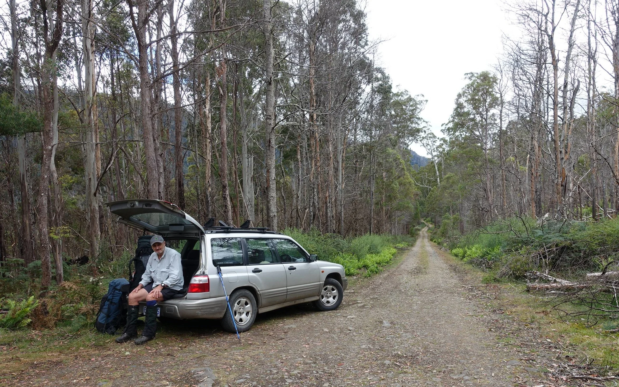 The car park at the end of the Mersey forest road