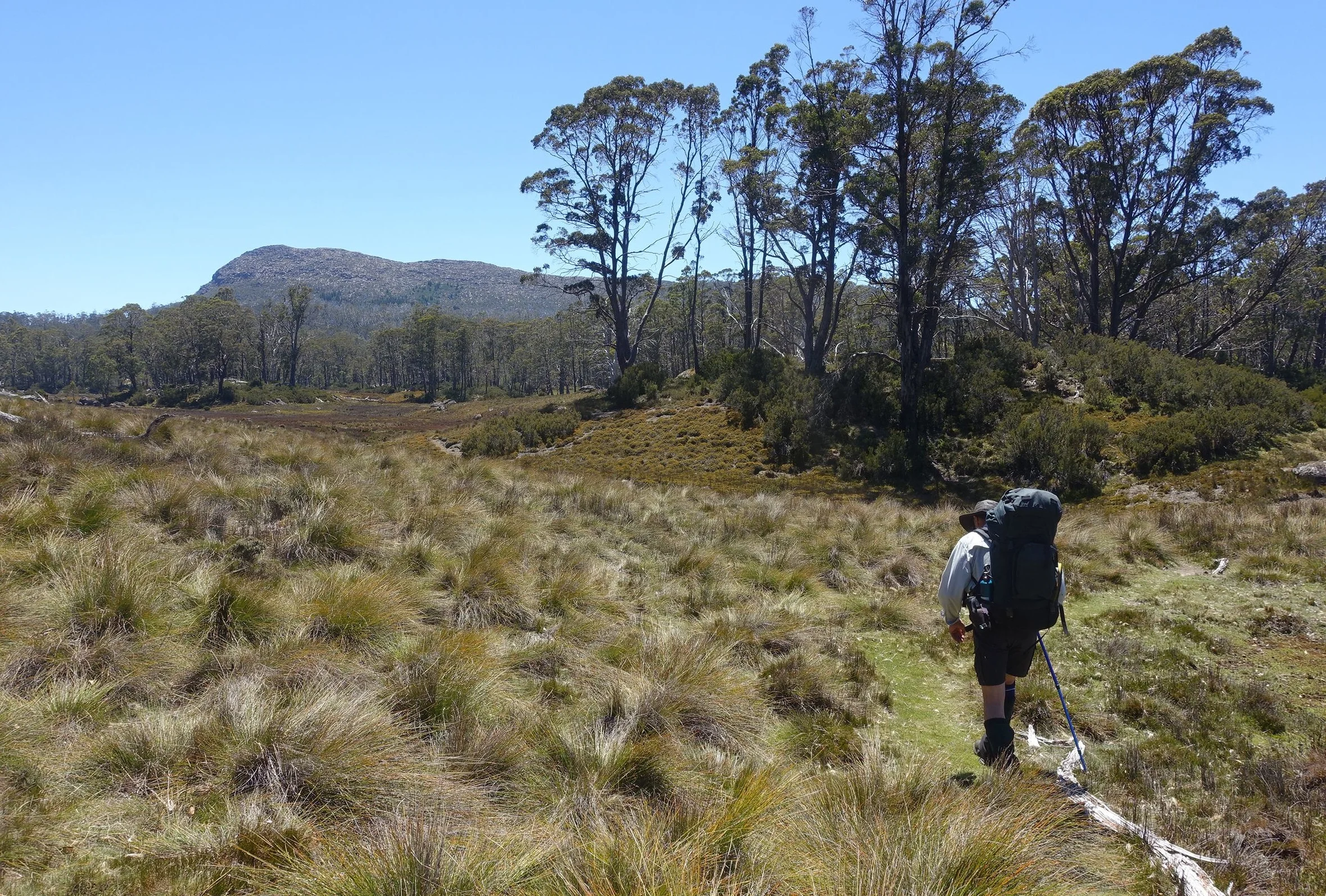 on the track to lake meston